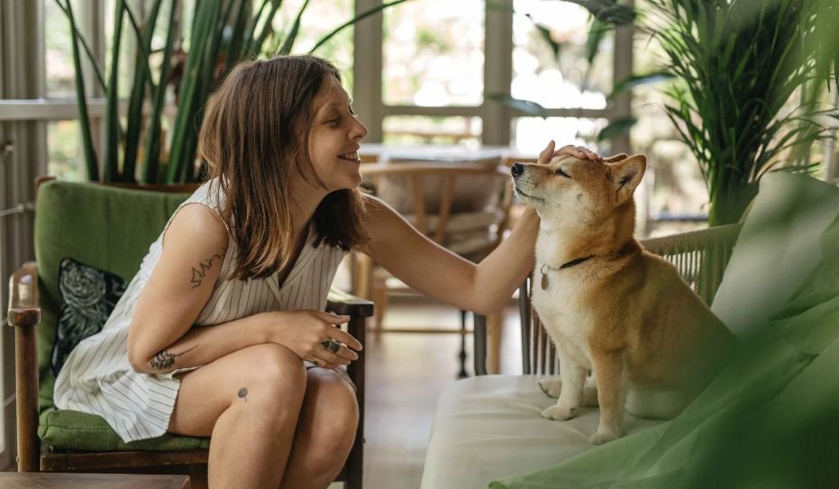 Military pet ownership